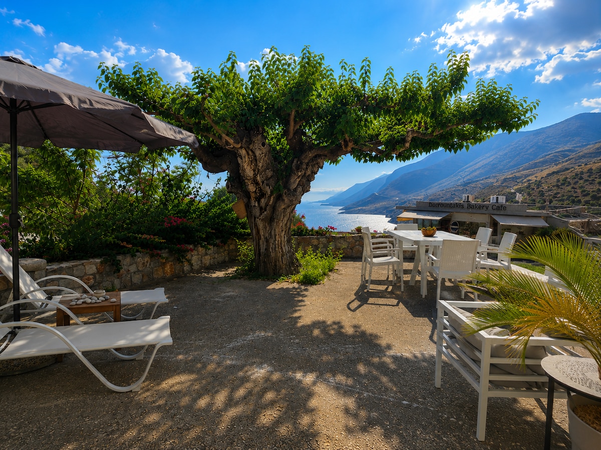The shaded garden terrace looking out over the sea and Sfakia mountains