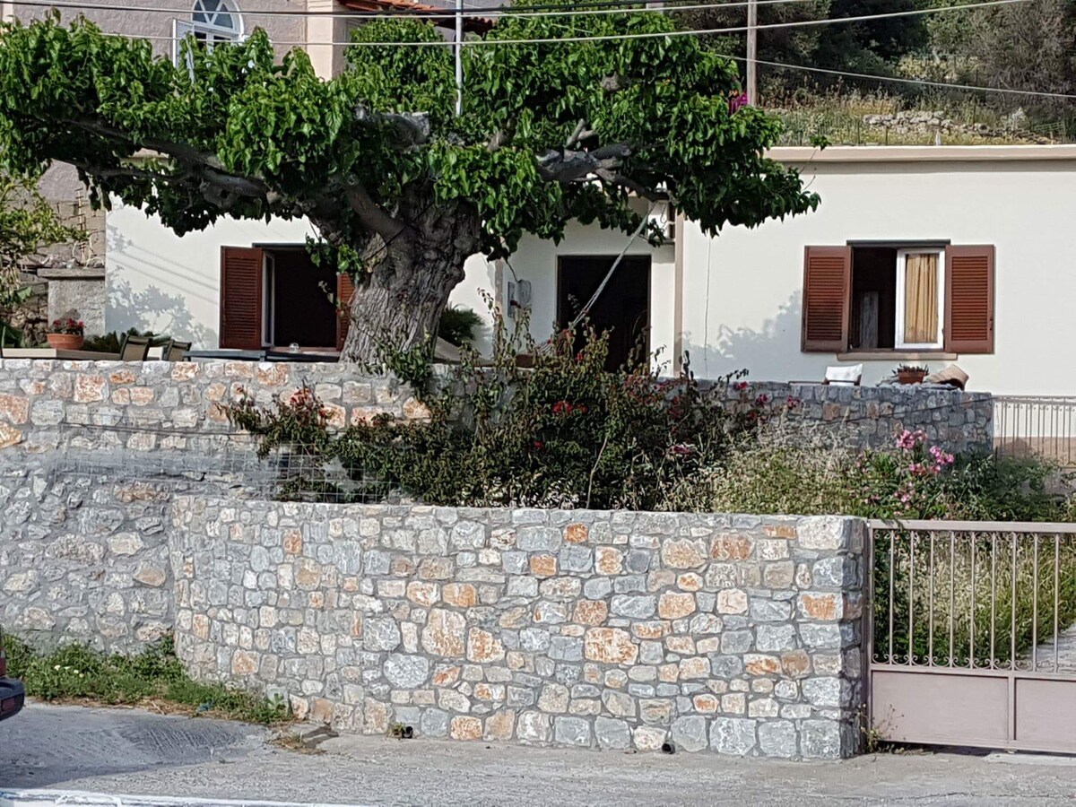 Areti's Archodiko garden and traditional stone wall